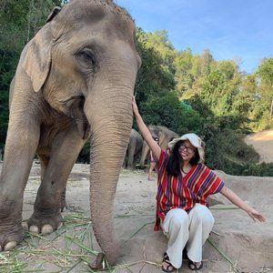 Meet your Posher, Joyce